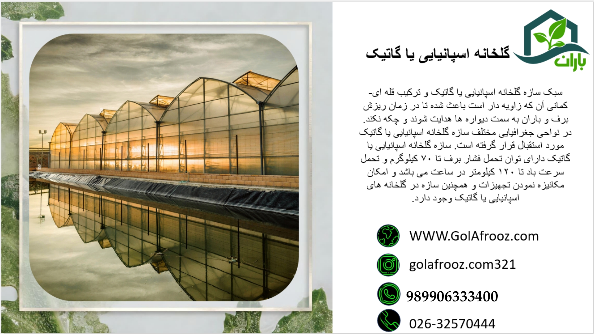 Picsart_25-07-07_15-42-36-484.jpg